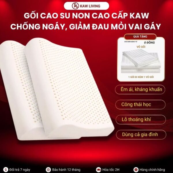 Gối cao su non cao cấp KAW màu trắng, có lỗ thoáng khí, chống ngáy và giảm đau mỏi vai gáy.