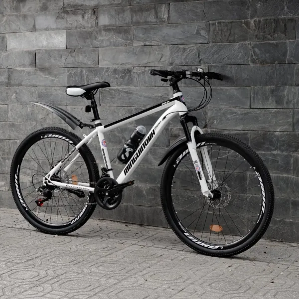Xe Đạp Thể Thao Mingu Inova Promax Xe đạp thể thao Mingu Inova Promax chính hãng DT Bike khung thép carbon